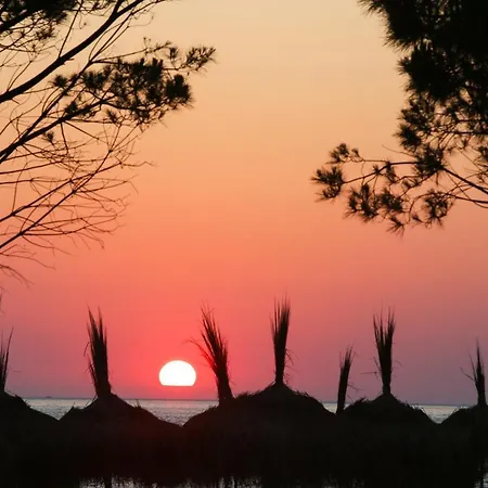 ホテル Summer Stars Vlorë