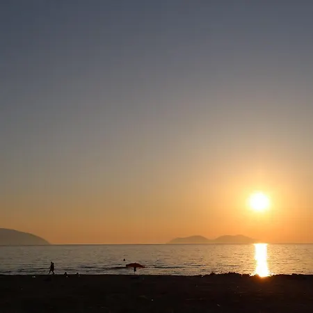 Summer Stars ホテル 3*